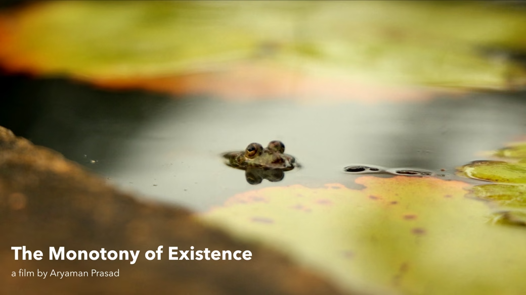 You are currently viewing A creative video by Aryaman Prasad